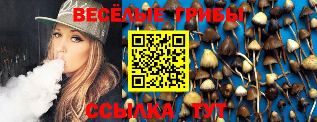 Галлюциногенные грибы Psilocybine cubensis  Галлюциногенные грибы ЛСД  Вход с VPN  Камень-на-Оби 